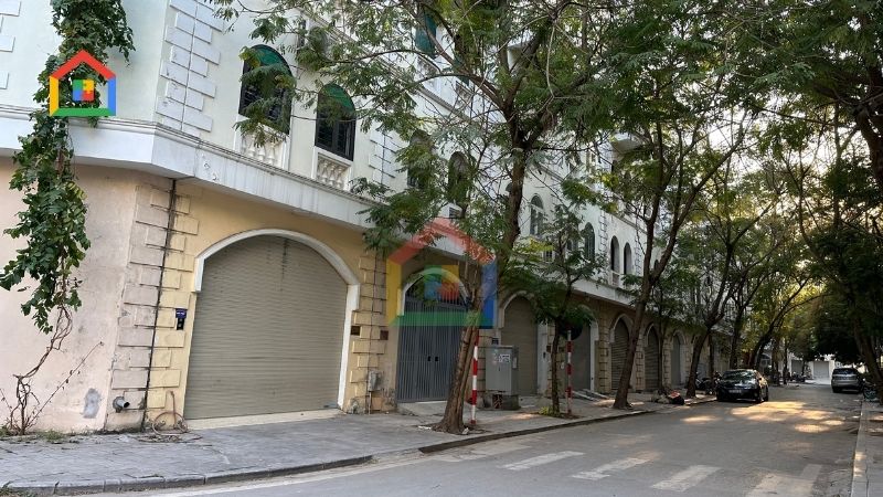 Mặt đường căn liền kề Mặt đường căn liền kề